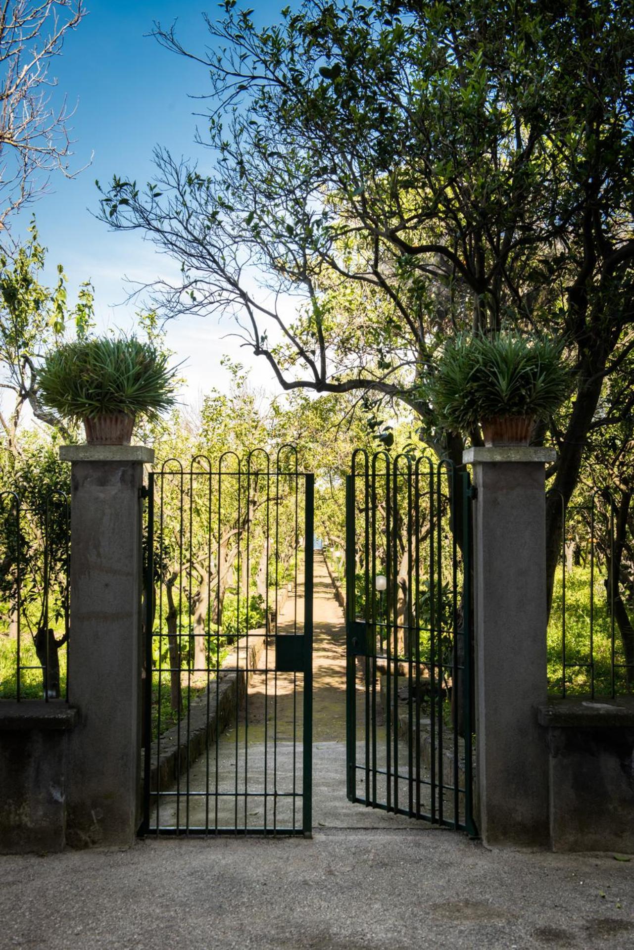 Tozzoli House Appartement Sorrente